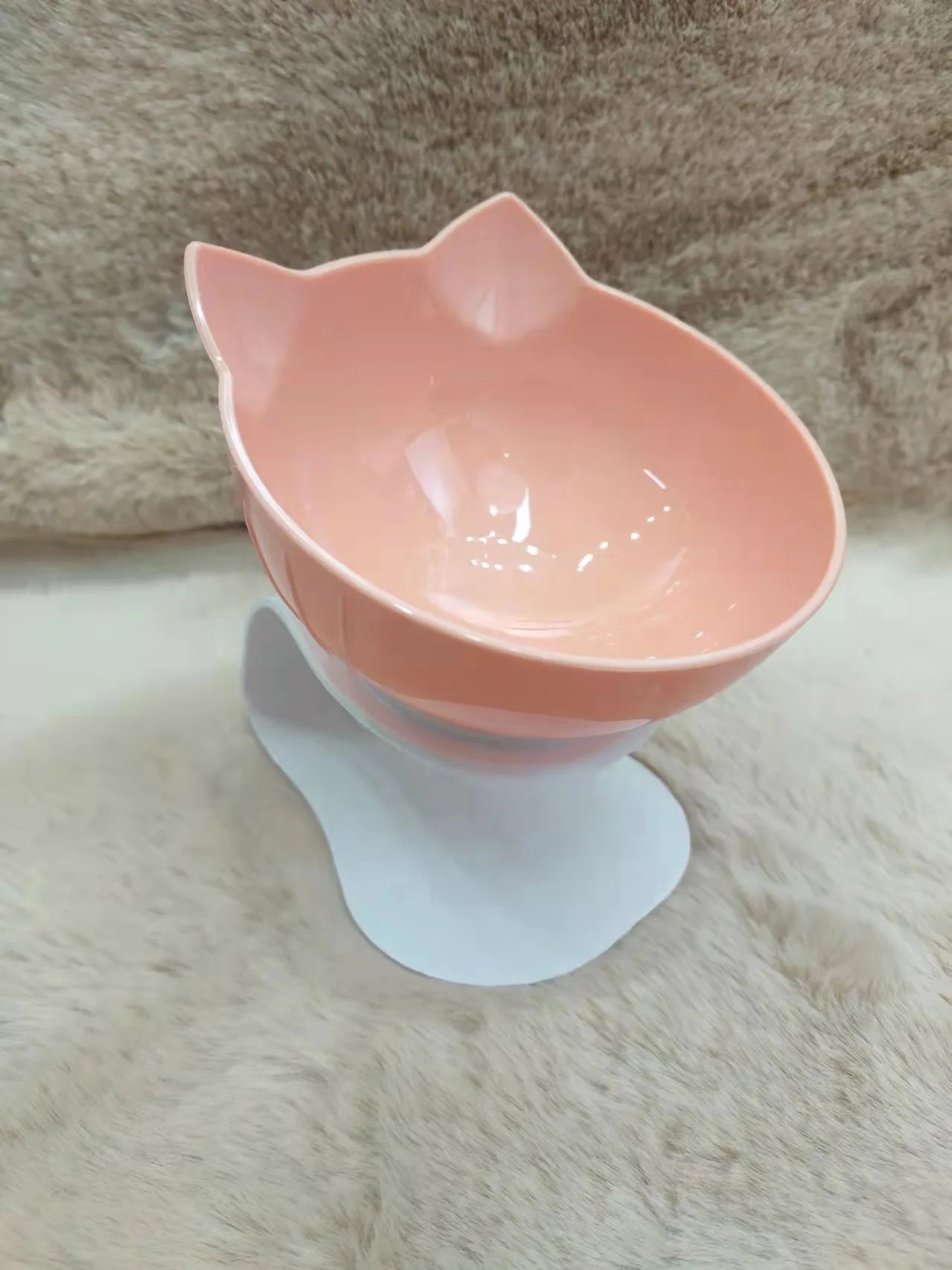 cat feeding bowls