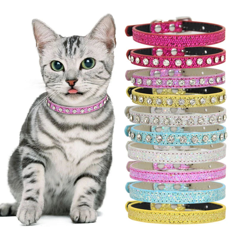 collar for a cat