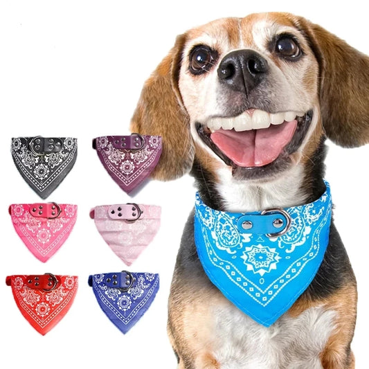 Printed Scarf Pet Collar for Dogs