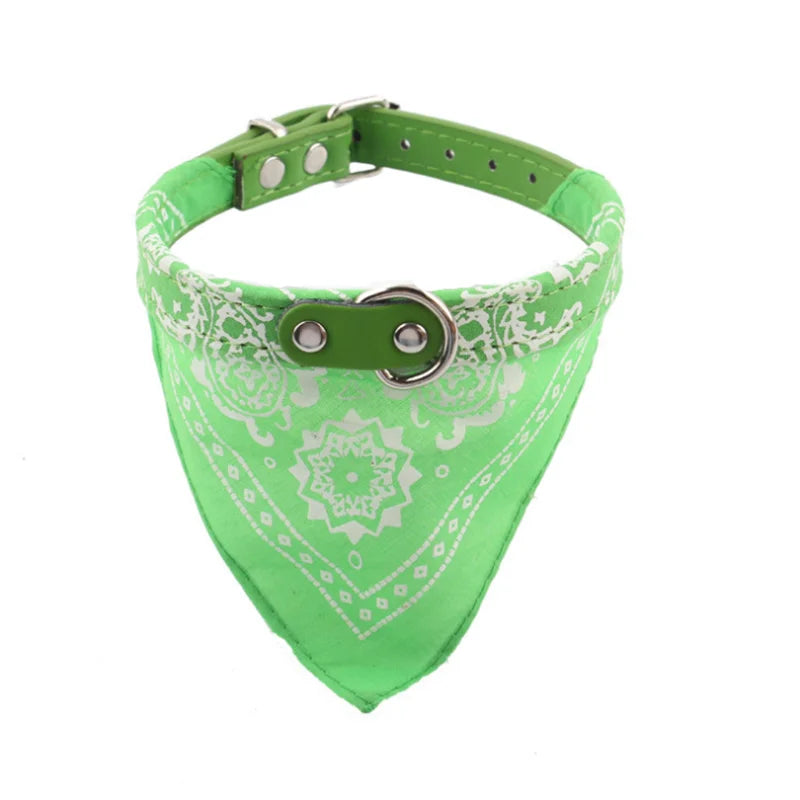 scarf collar for dogs