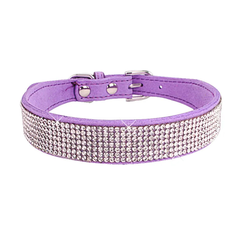 puppy collar