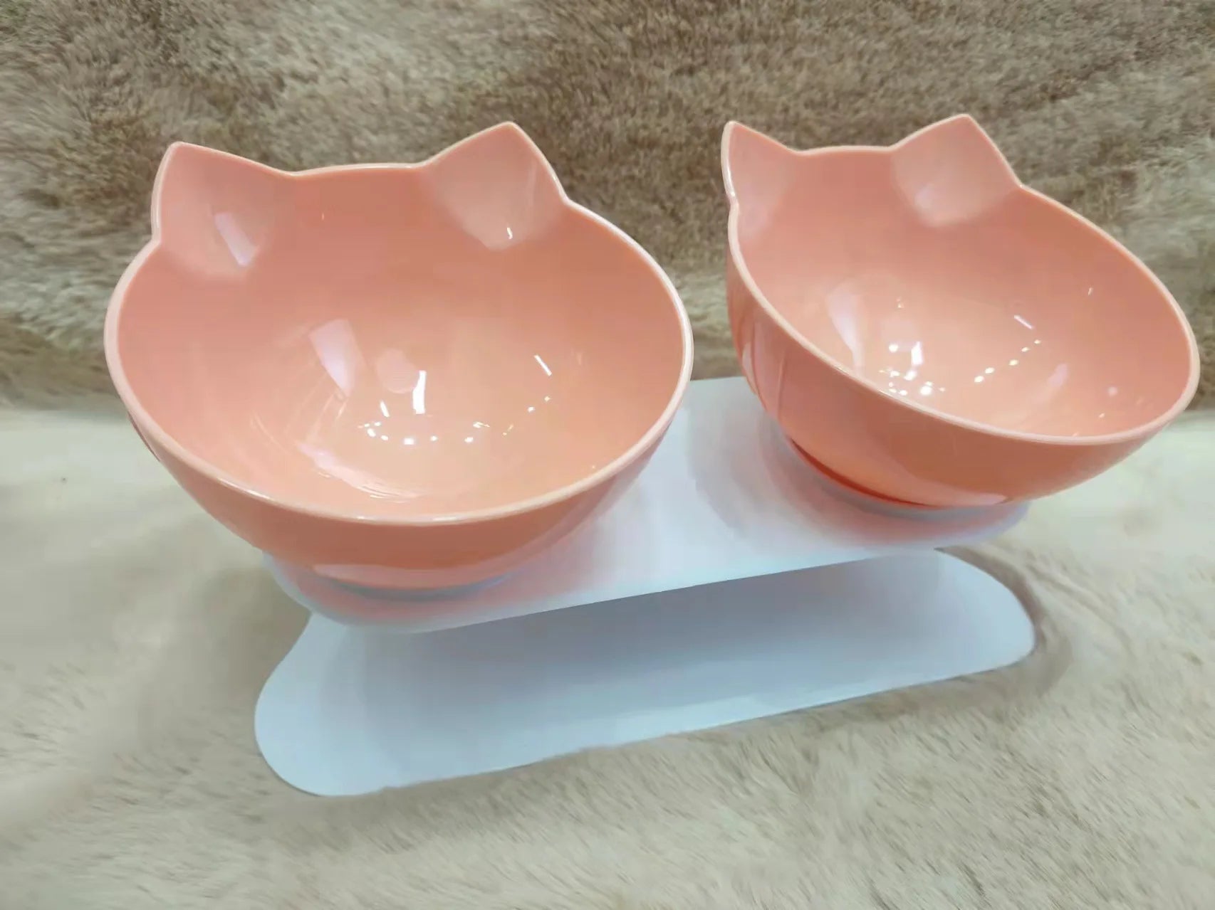 kittens bowl