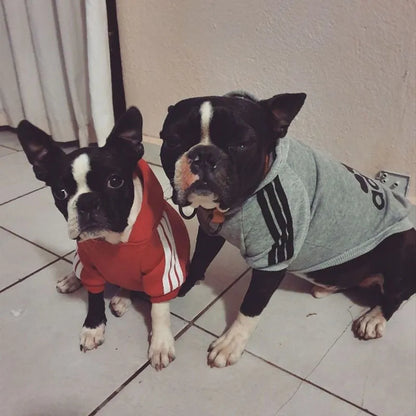 Sweats à capuche de sport pour chiens - Vêtements pour chiens
