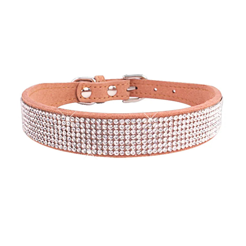 puppy collar