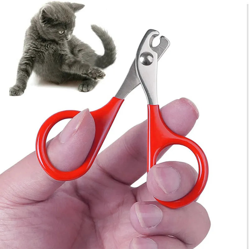 Nail Scissors