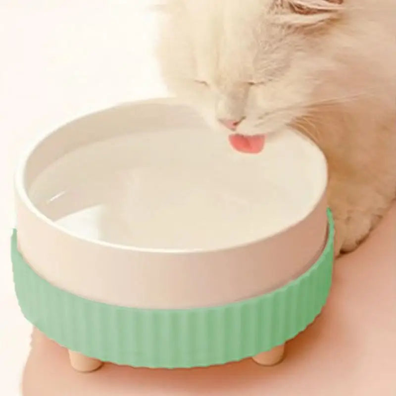 Rechargeable Pet Noiseless Water Heating Bowls