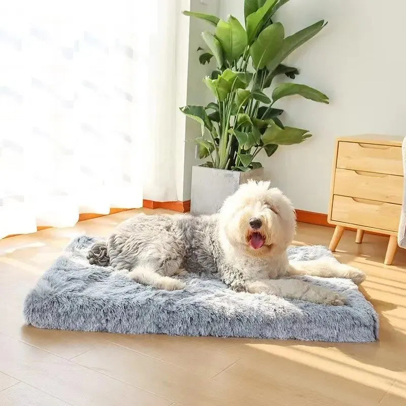 soft dog bed