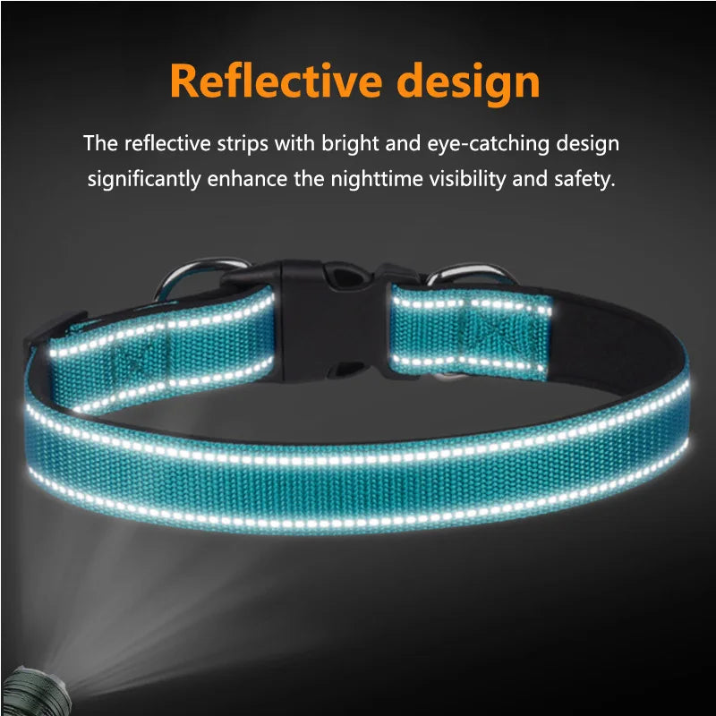 reflective collar