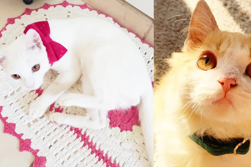 Adjustable Plaid Cat Collar with Bell Pendant