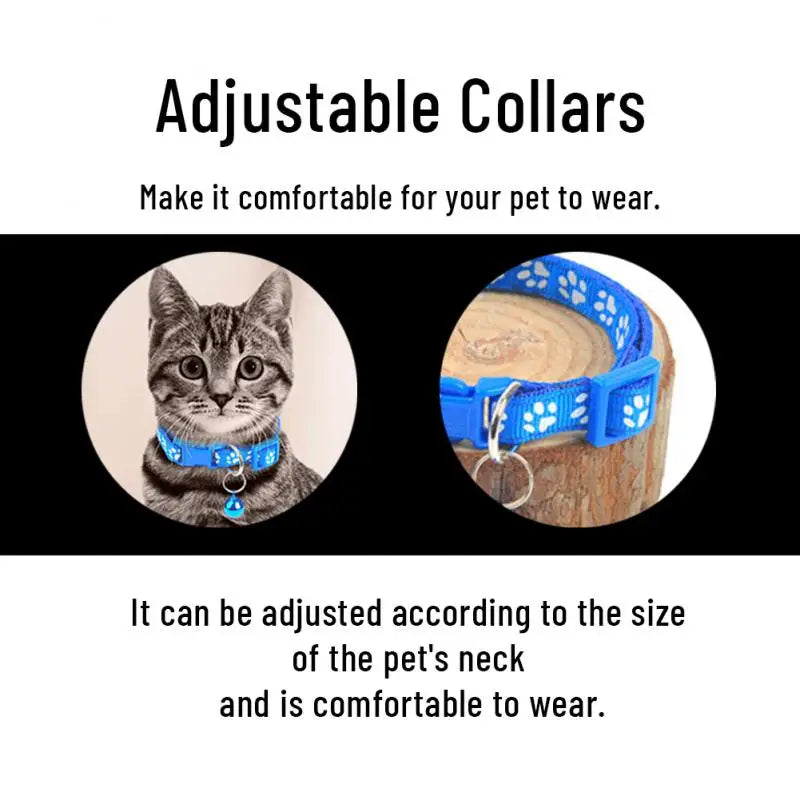 cats and bell collars