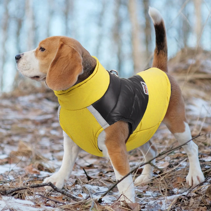 Veste rembourrée imperméable pour animaux de compagnie, veste à glissière au dos