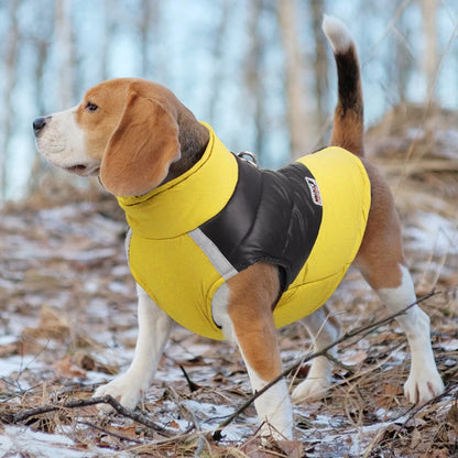 Veste rembourrée imperméable pour animaux de compagnie, veste à glissière au dos