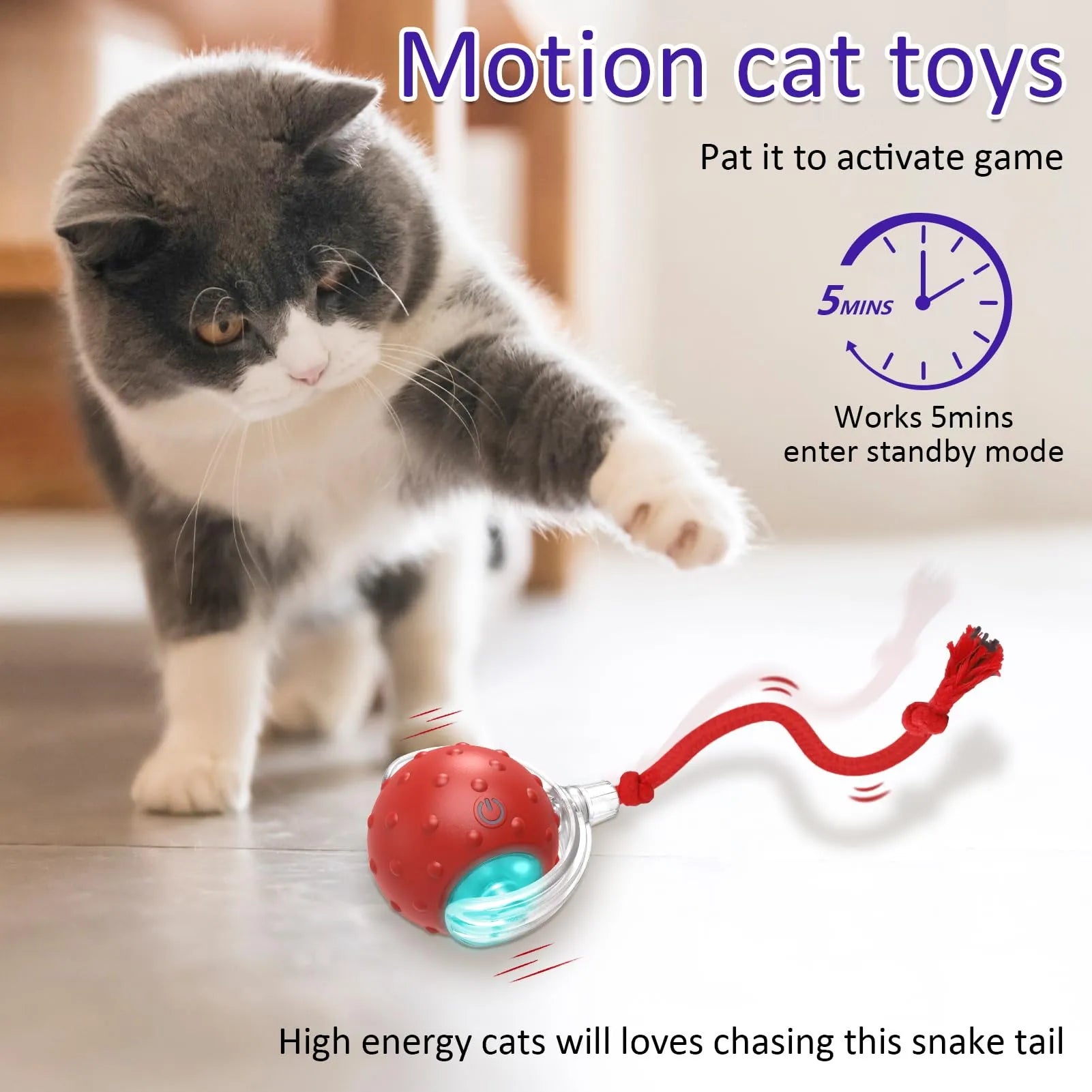 interactive cat toy