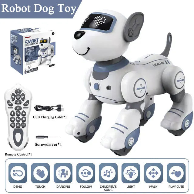 remote control dog toy