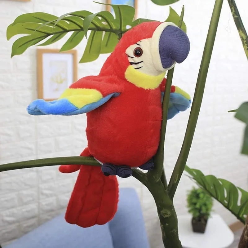 parrot bird