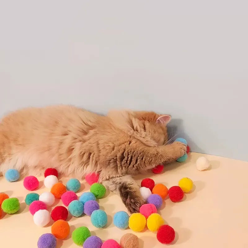 cat toy for cat