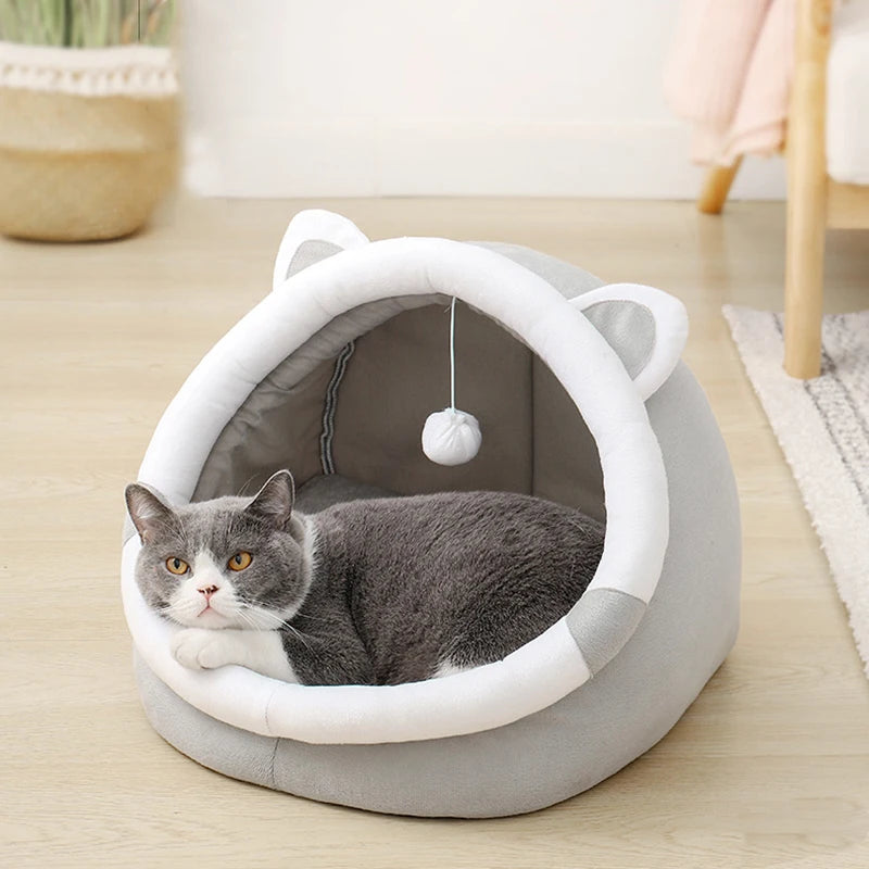 cat bedding