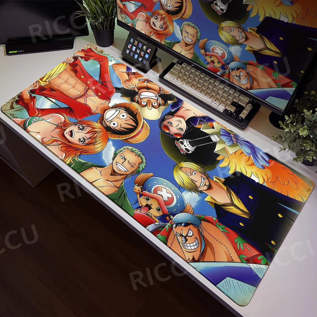 Kitchen Entrance Carpet Large Door Mat