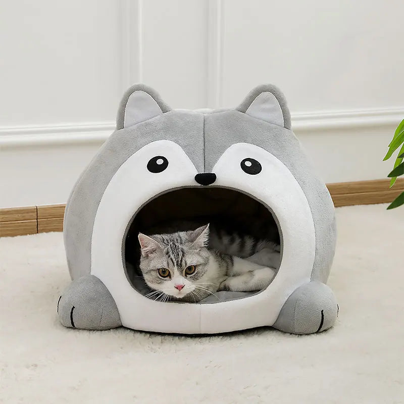 cat tent bed