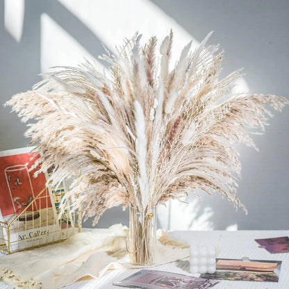 Small Pampas Grass Dried Flowers Bouquet