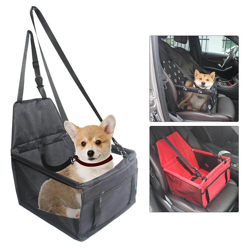 puppy carrier car seat