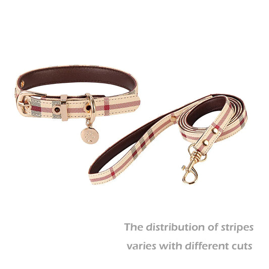 Stylish Leather Pet Collar & Leash Set