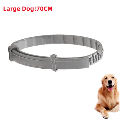 dog collar