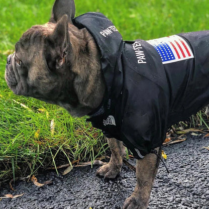 Veste d'hiver chaude pour chien - Tenue pour chiot
