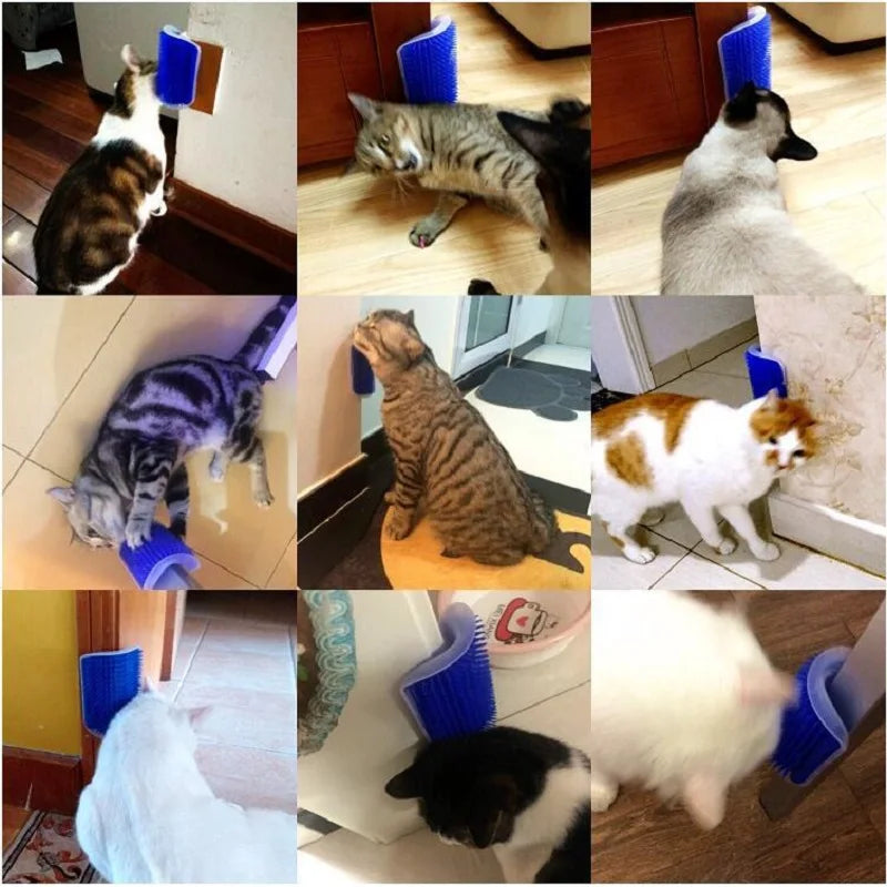 cat grooming accessories