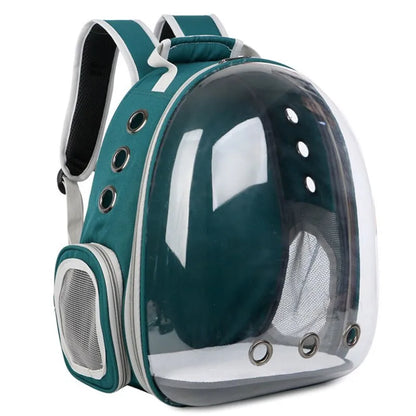 Transparenter Capsule Bubble Pet Carrier-Rucksack