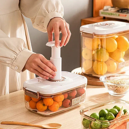 Large Capacity Food Vacuum Sealed Storage Box