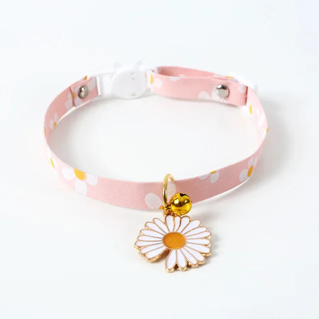 puppy collar