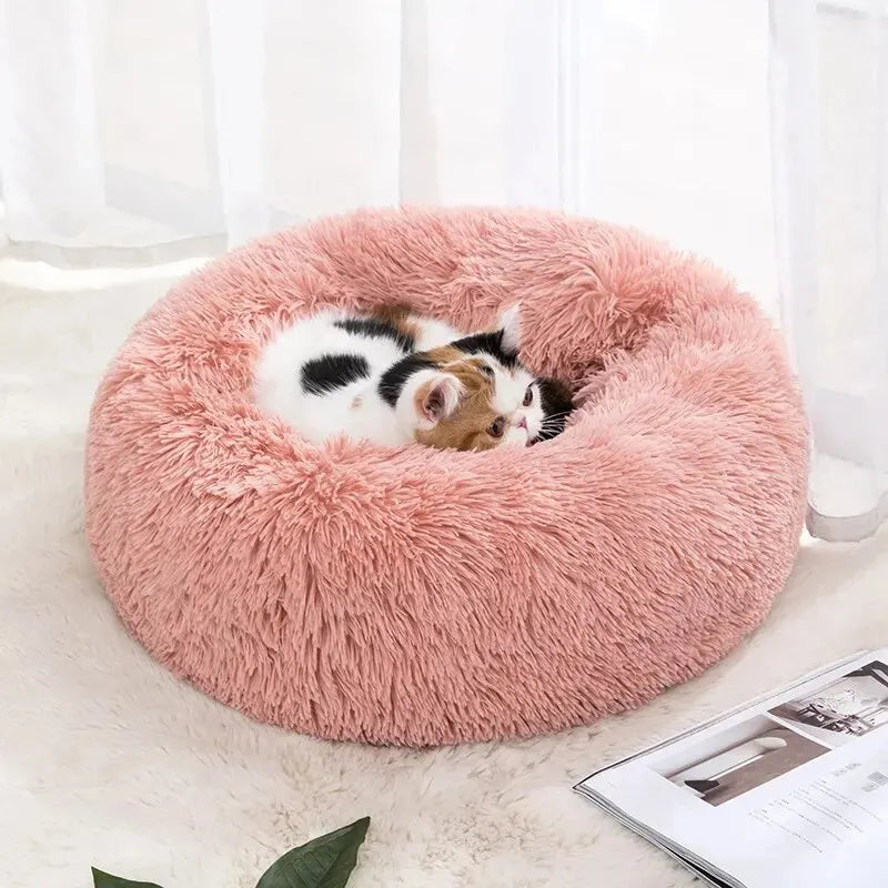 machine washable dog bed