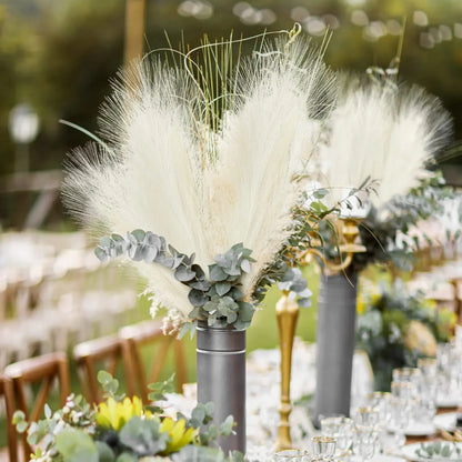 Bouquet d'herbe de pampa moelleux pour décoration DIY