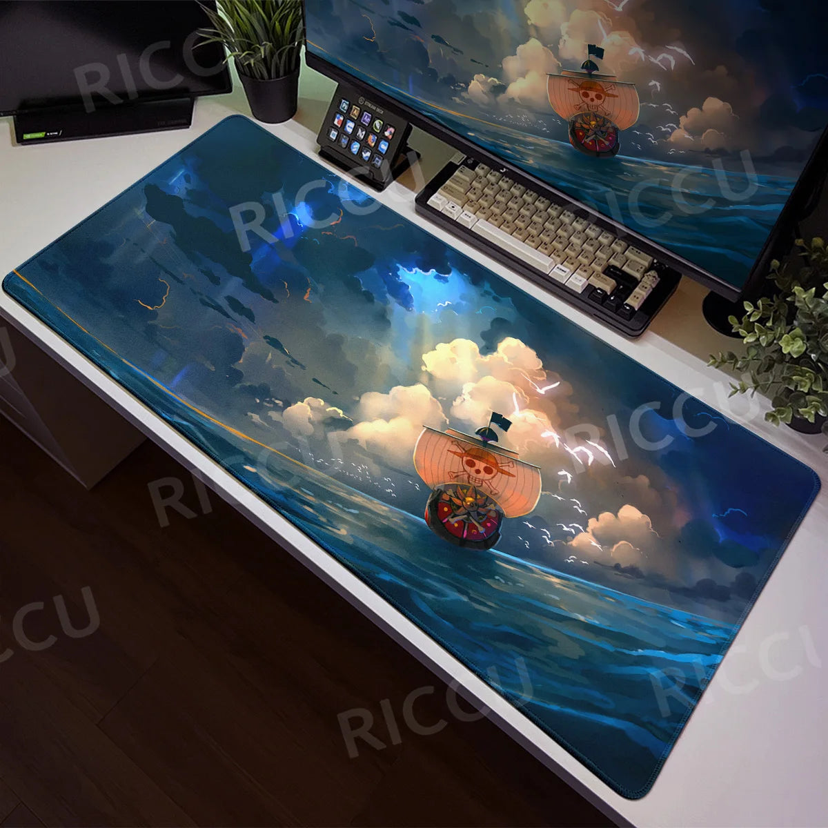 Kitchen Entrance Carpet Large Door Mat