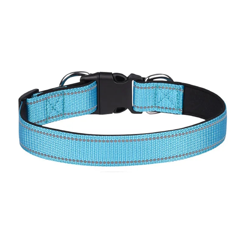 dog collars for large dogs