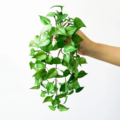 Mini Soft Glue Fake Green Plants for Home