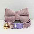 bow tie collar14