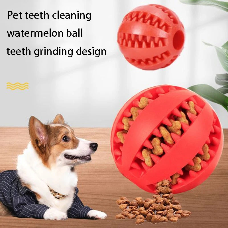 dog ball toys