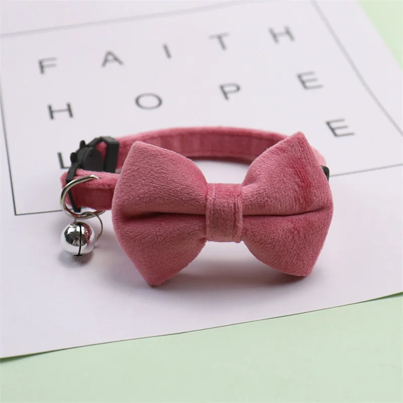 puppy dog collar