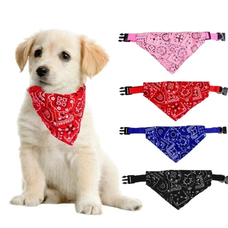 puppy collars