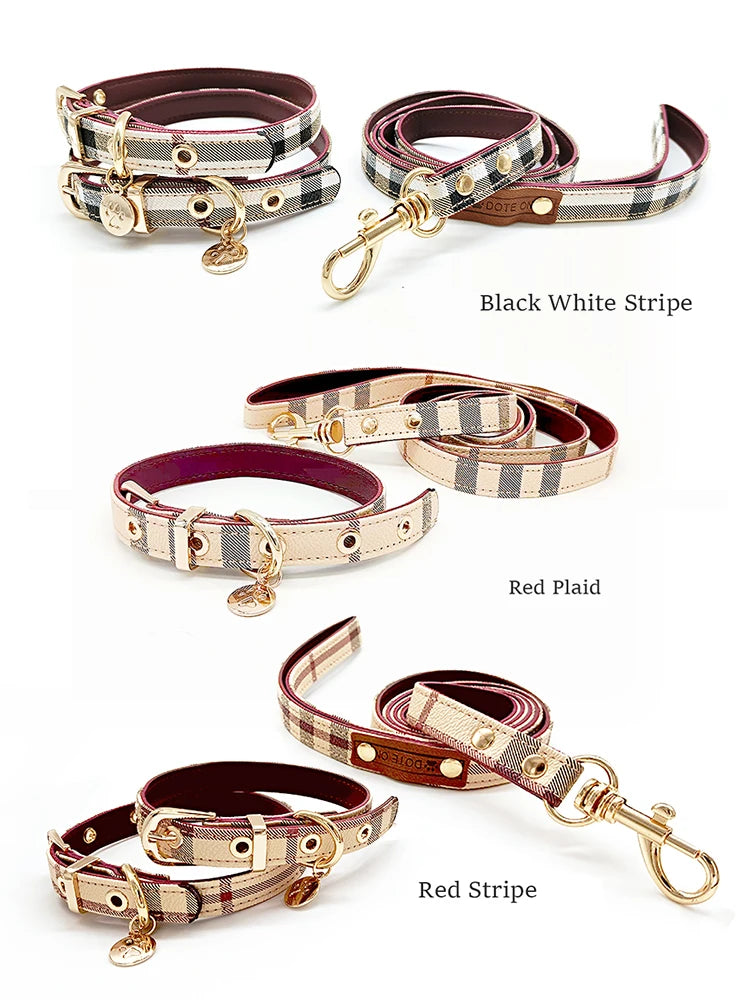 stylish collars for dogs