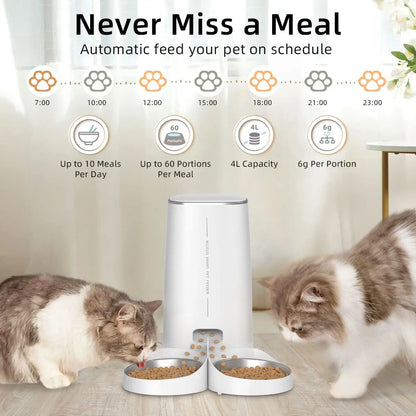 best automatic cat feeder