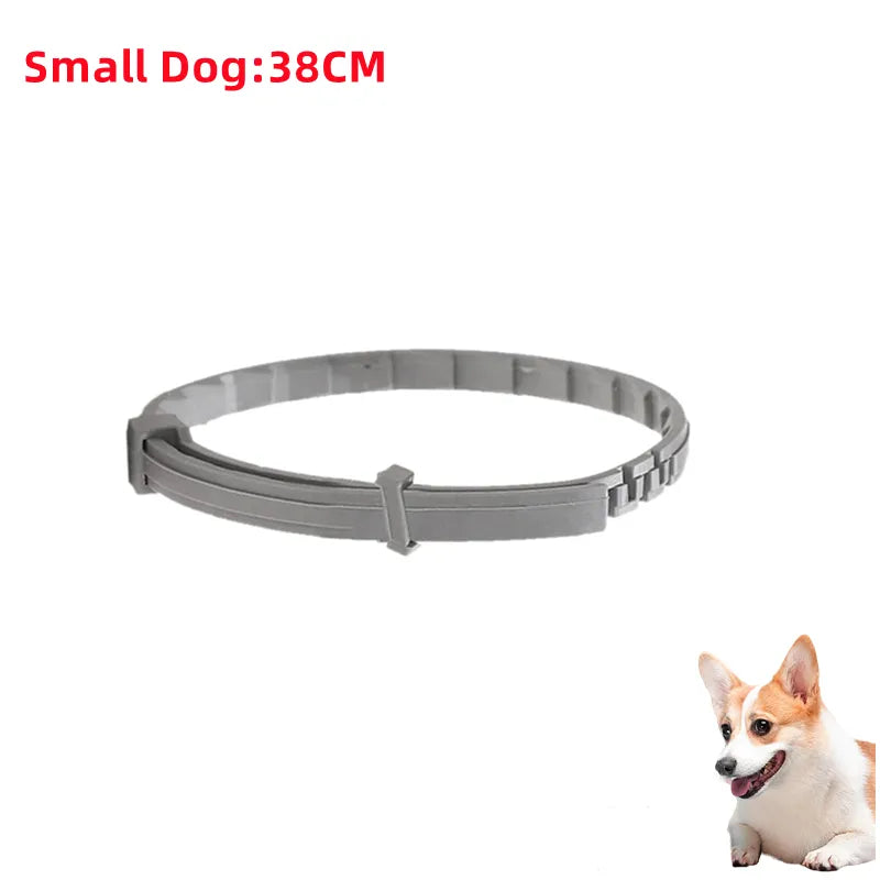 pet collar