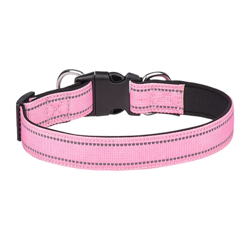 pet collar