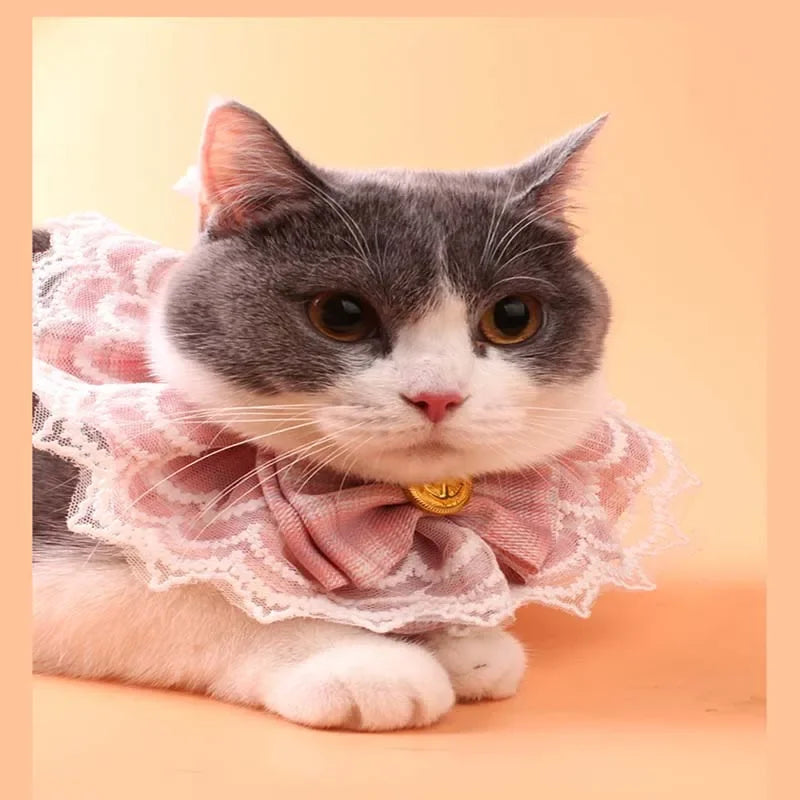 Collier pour chien en perles de ruban de soie avec pendentif