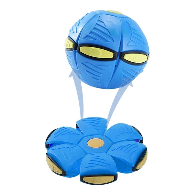 outdoor dog toys