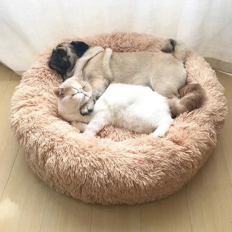 dog pad bed