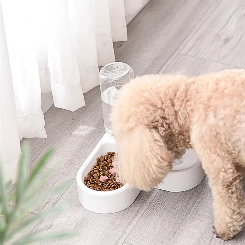 dog feeder water