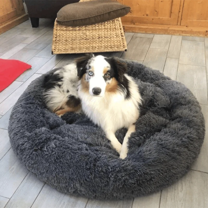 washable pet bed